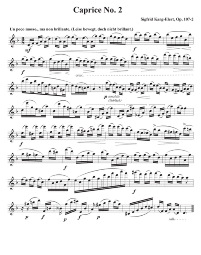 Karg-Elert - 30 Caprice Op107 - Flute Solo Fischer CU176