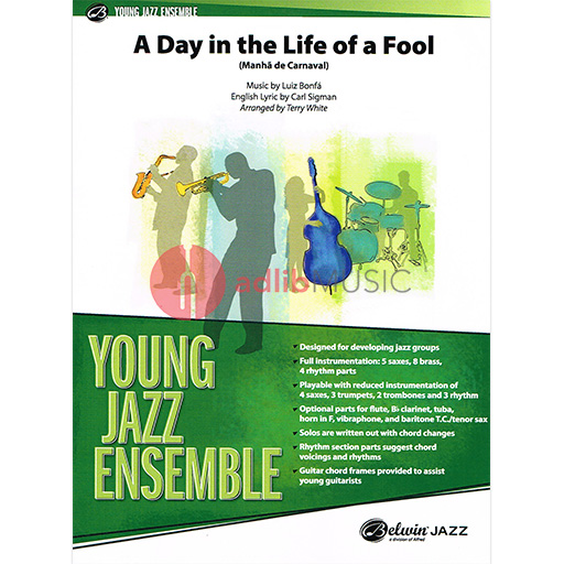 Day in the Life of a Fool JE Gr 2